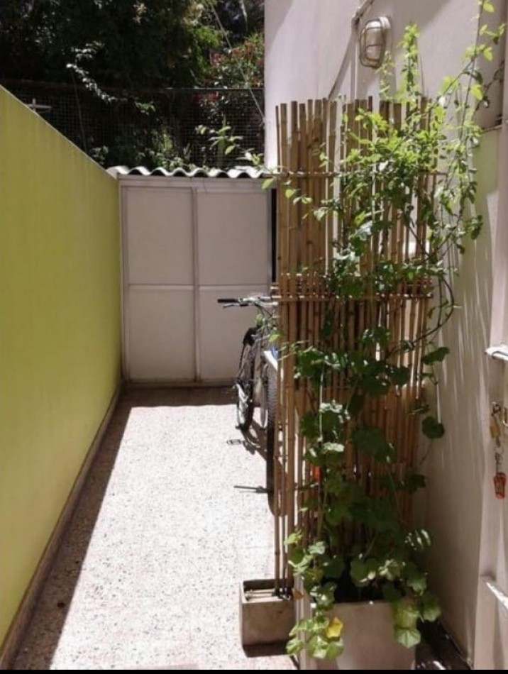 dpto 2amb con patio en paseo aldrey guemes 